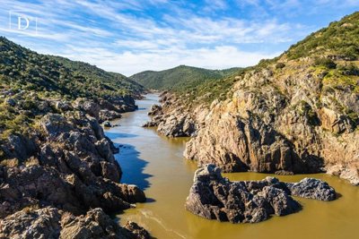 1-12494-a6143ebb3cb0547d86cbab874af8e5c603a53