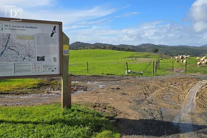 Image No.5-Townhouse for sale