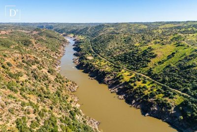 1-12494-a6143ebb3cb0547d86cbab874af8e5c603a53