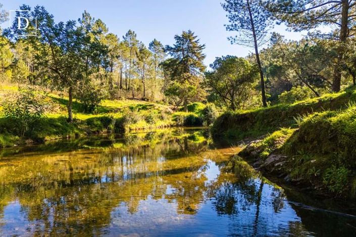 Image No.28-2 Bed Villa for sale