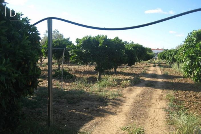 Image No.10-3 Bed Villa for sale