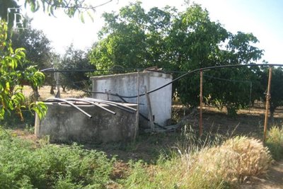 1-12490-a6143ebb3cb0547d86cbab874af8e5c603a53