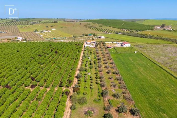 Image No.3-3 Bed Villa for sale