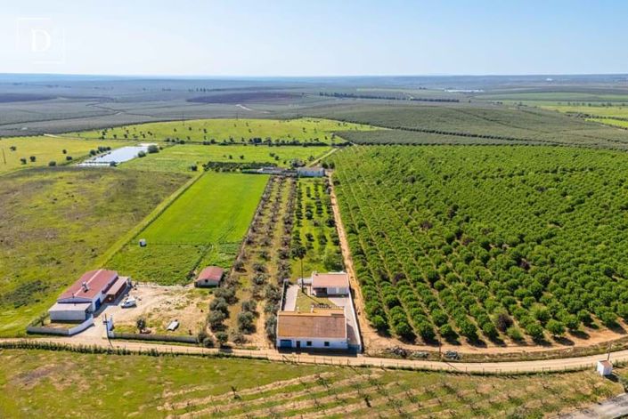 Image No.41-3 Bed Villa for sale