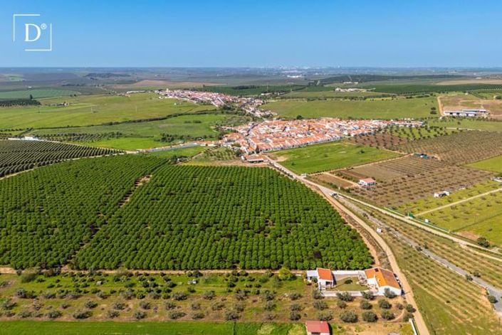 Image No.42-3 Bed Villa for sale