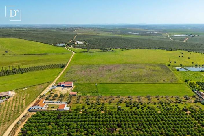 Image No.44-3 Bed Villa for sale