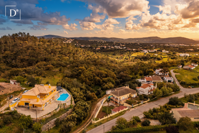 1-12506-a6143ebb3cb0547d86cbab874af8e5c603a53