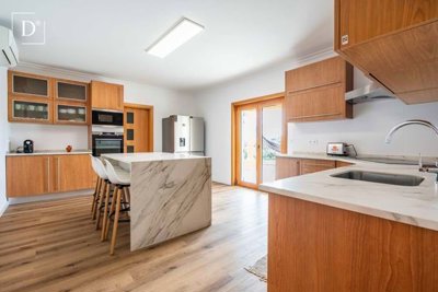 1-12506-a6143ebb3cb0547d86cbab874af8e5c603a53