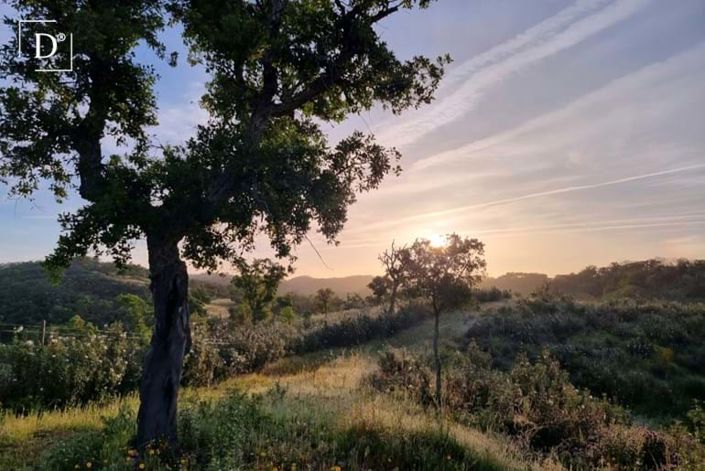 Image No.10-2 Bed Villa for sale