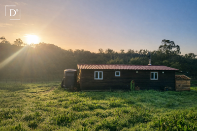 1-12612-a6143ebb3cb0547d86cbab874af8e5c603a53