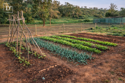 1-12612-a6143ebb3cb0547d86cbab874af8e5c603a53