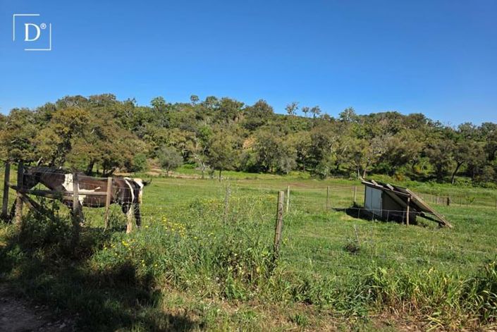 Image No.17-2 Bed Villa for sale