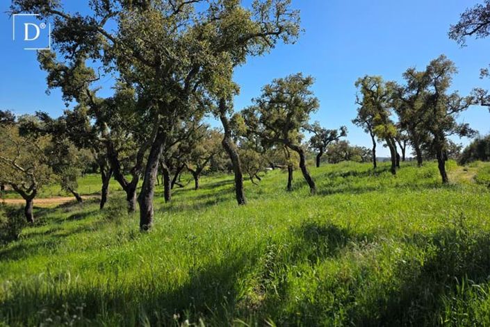 Image No.18-2 Bed Villa for sale