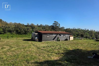 1-12612-a6143ebb3cb0547d86cbab874af8e5c603a53