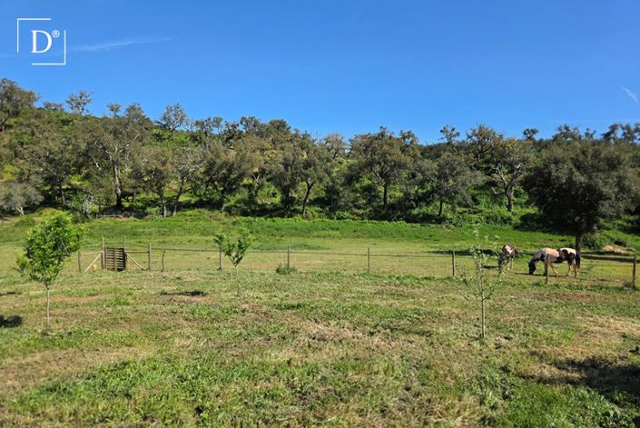 Image No.3-2 Bed Villa for sale