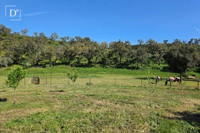 1-12612-a6143ebb3cb0547d86cbab874af8e5c603a53