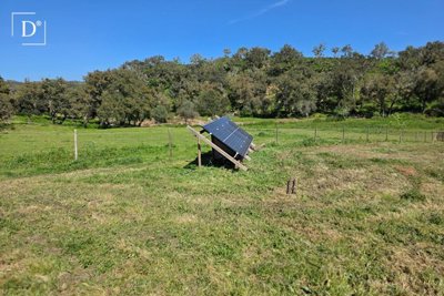 1-12612-a6143ebb3cb0547d86cbab874af8e5c603a53