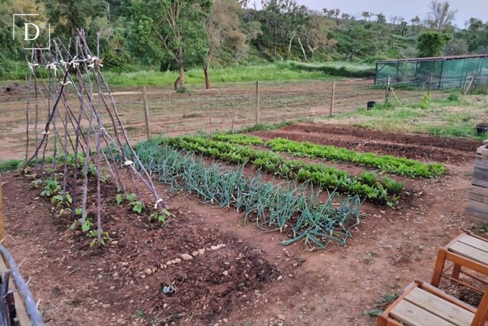 Image No.9-2 Bed Villa for sale