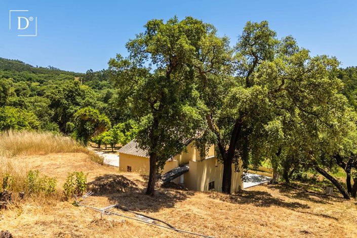 Image No.3-3 Bed Villa for sale