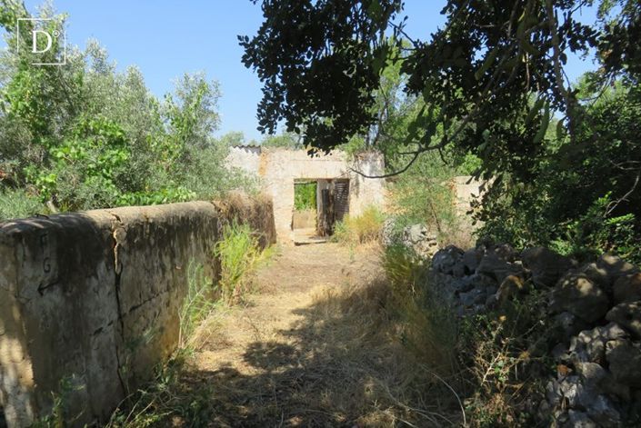 Image No.36-1 Bed Villa for sale