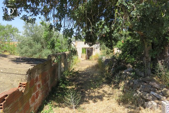 Image No.37-1 Bed Villa for sale