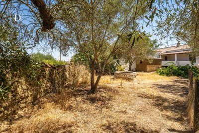 1-12790-a6143ebb3cb0547d86cbab874af8e5c603a53