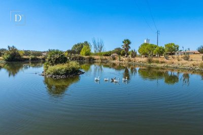 1-12772-a6143ebb3cb0547d86cbab874af8e5c603a53