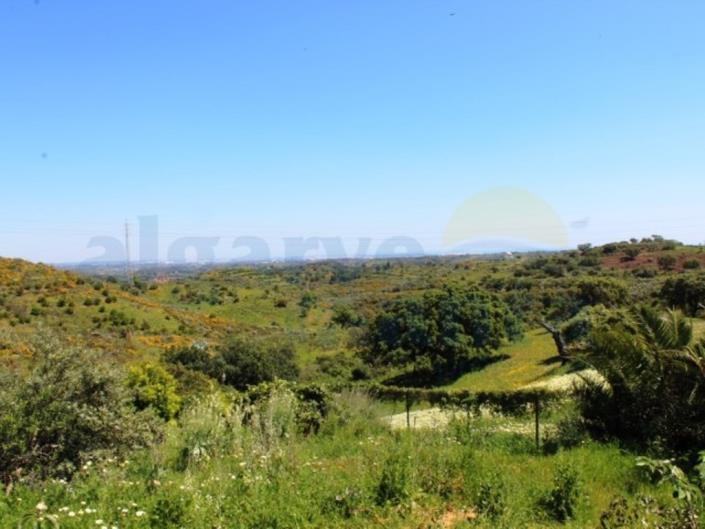 Image No.3-3 Bed Country House for sale