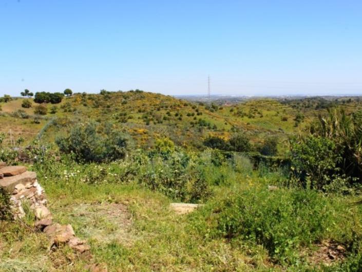 Image No.4-3 Bed Country House for sale