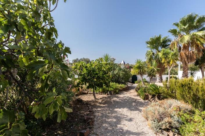 Image No.35-Maison / Villa de 4 chambres à vendre à Azinhal