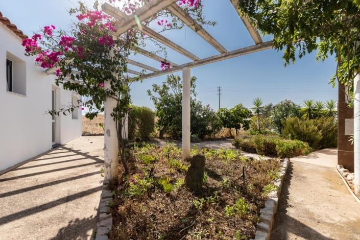 Image No.36-Maison / Villa de 4 chambres à vendre à Azinhal