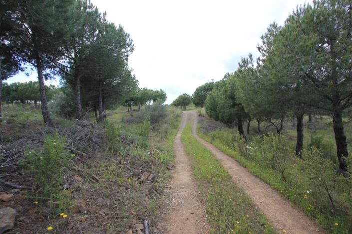 Image No.1-Land for sale