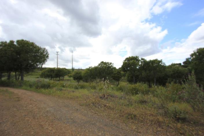 Image No.5-Terre à vendre à Azinhal