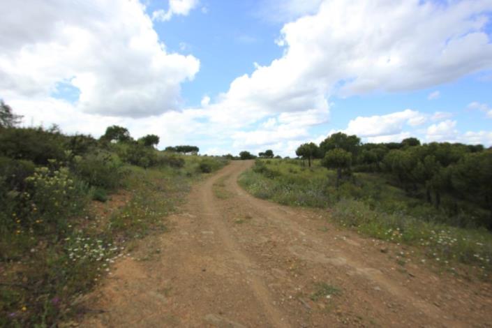 Image No.7-Terre à vendre à Azinhal