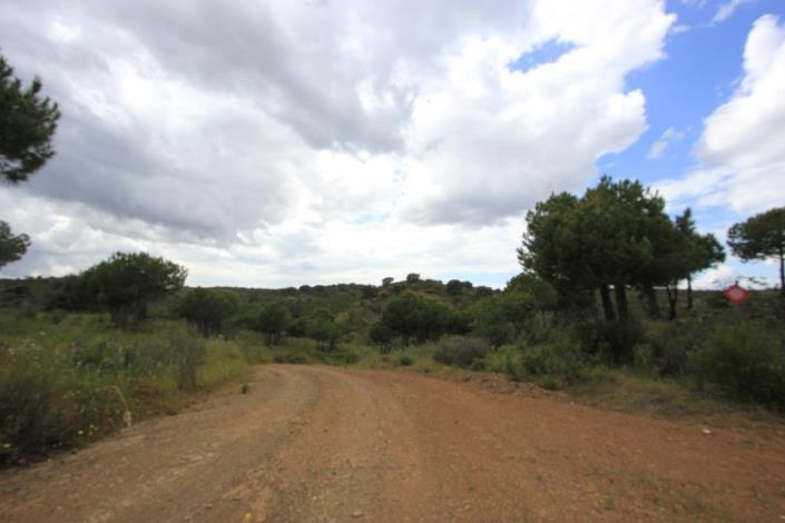 Image No.9-Terre à vendre à Azinhal