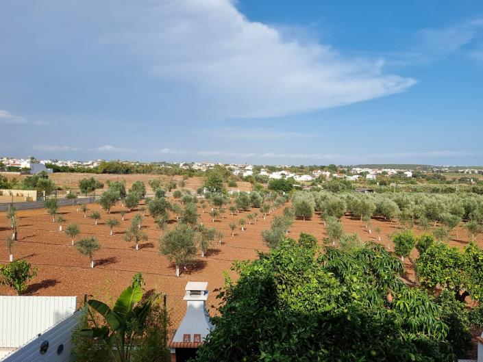 Image No.24-Jumelé de 4 chambres à vendre à Vila Nova de Cacela