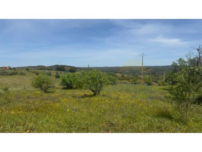 Image No.8-Land for sale