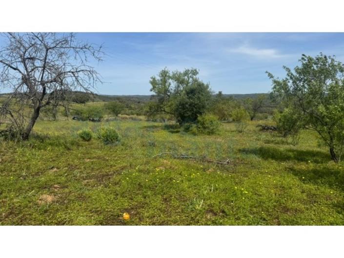 Image No.2-Land for sale