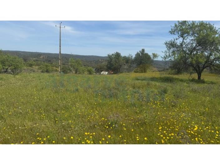 Image No.3-Land for sale