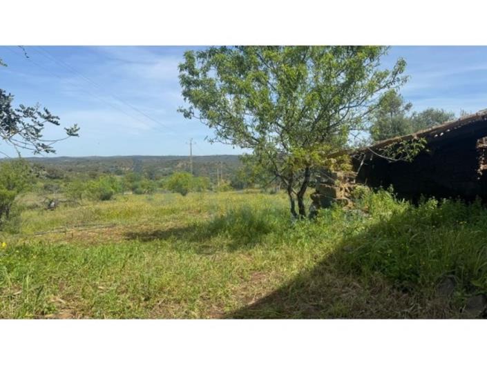 Image No.5-Land for sale