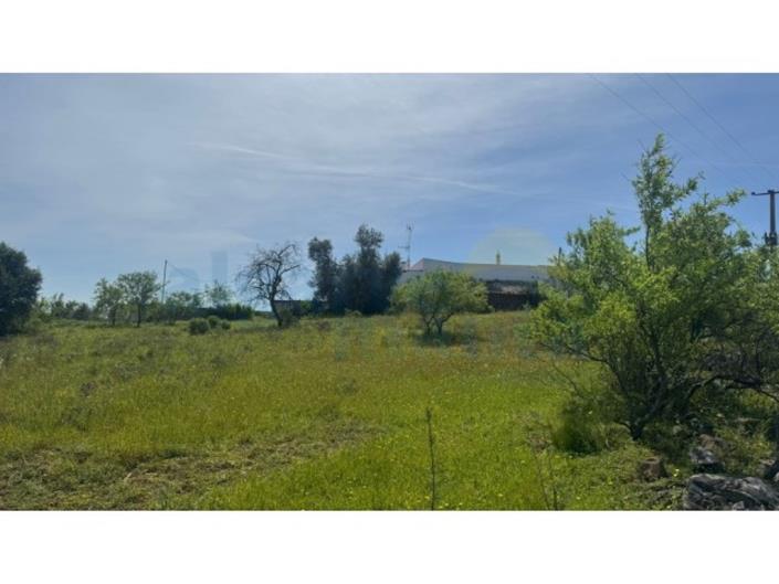 Image No.6-Land for sale