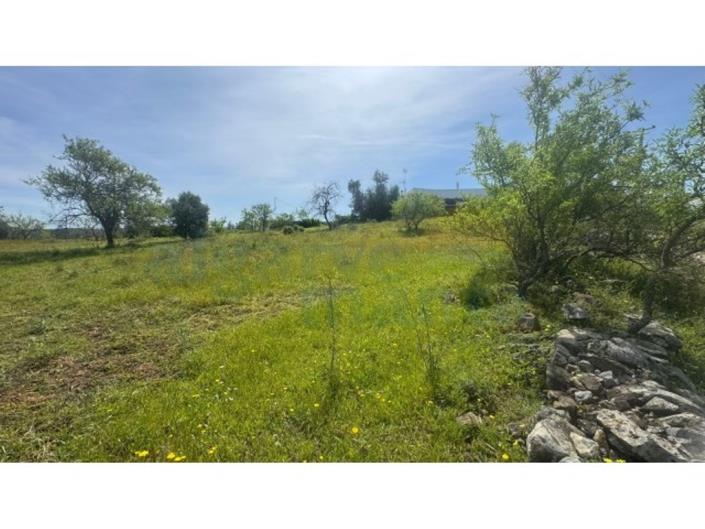 Image No.9-Land for sale