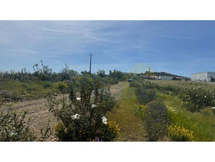 Image No.10-Land for sale