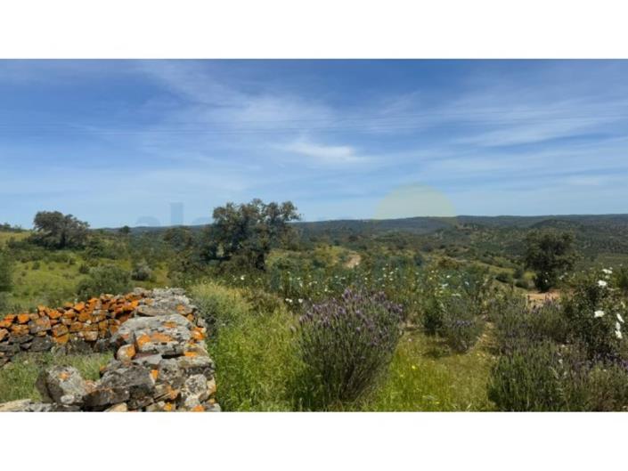 Image No.11-Land for sale