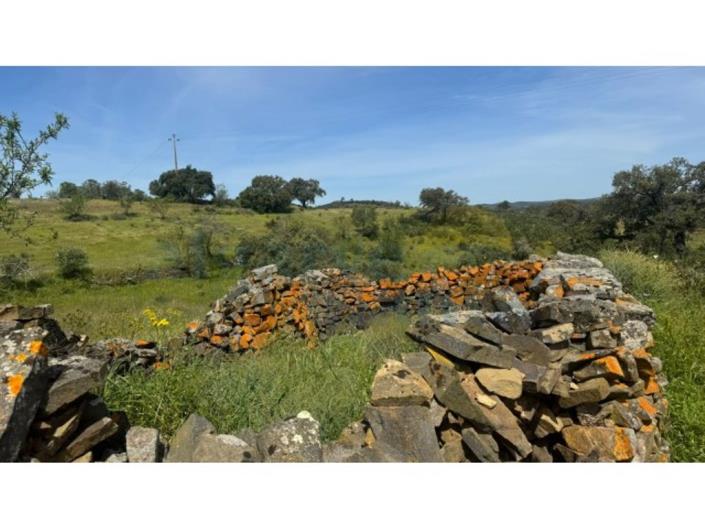 Image No.12-Land for sale