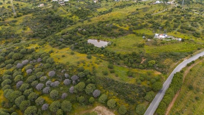 Image No.2-Land for sale