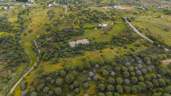 Image No.5-Land for sale