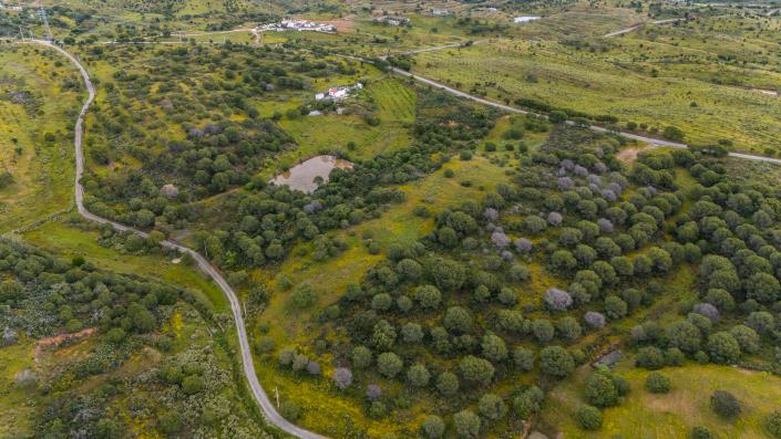 Image No.6-Land for sale