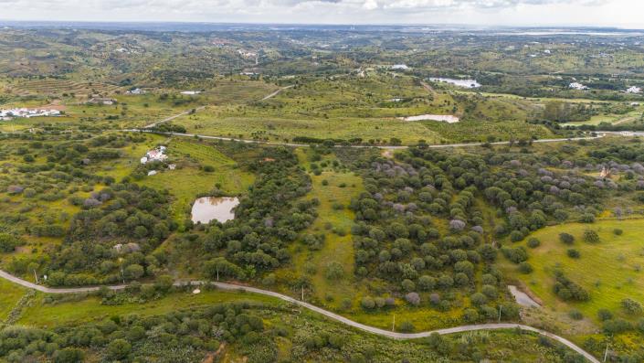 Image No.1-Land for sale