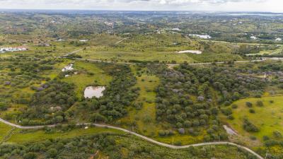 DJI_20250417112719_0026_D